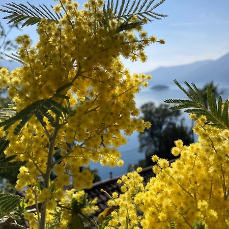 Bnb122 Bed&Breakfast Ascona Extérieur photo